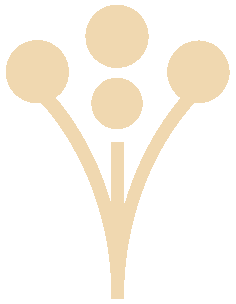 WeddingWire