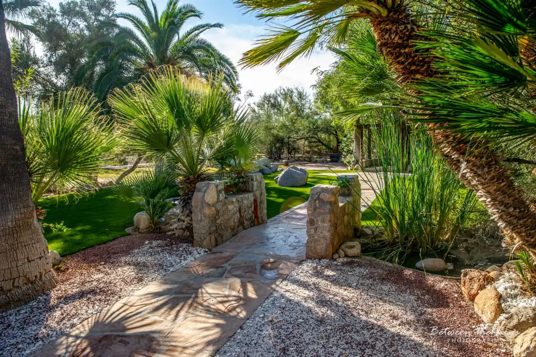 Lush garden pathway at Desert Bloom Estates, outdoor wedding venue in Tucson Arizona